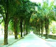 德宏師范高等?？茖W校&mdash;&mdash;優(yōu)美的校園景色